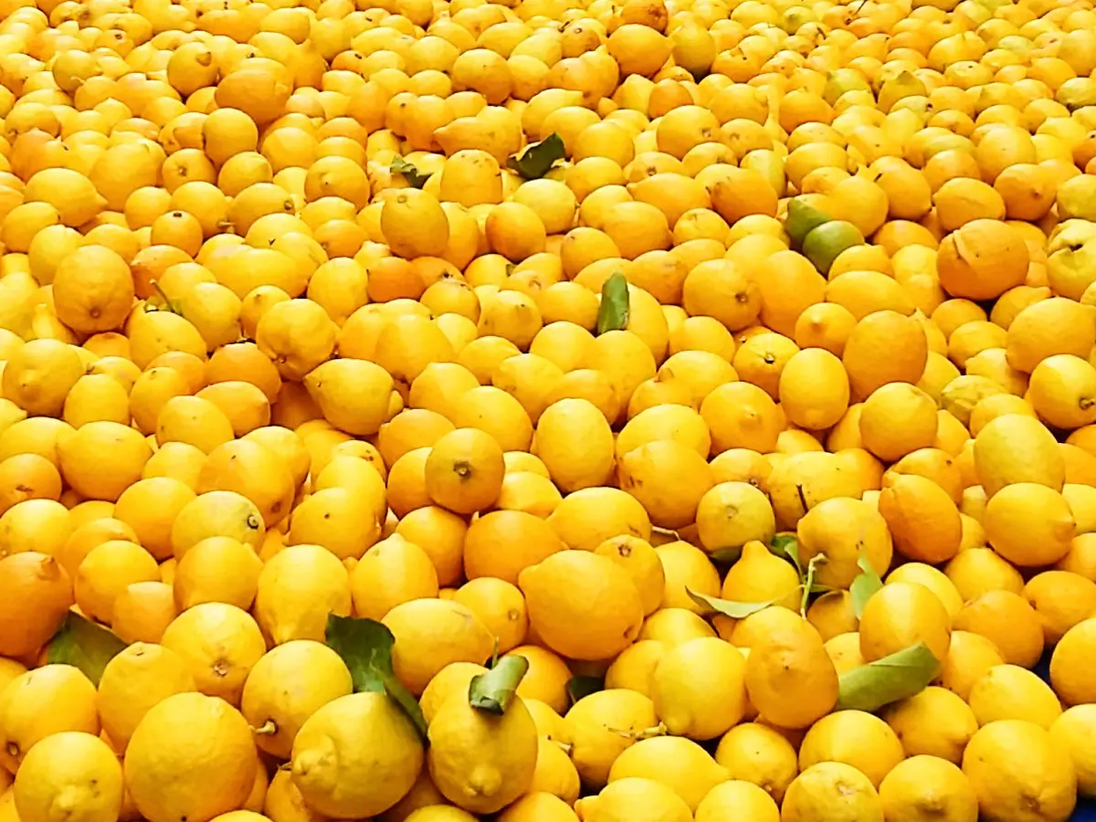 Greek lemons make delicious lemonade