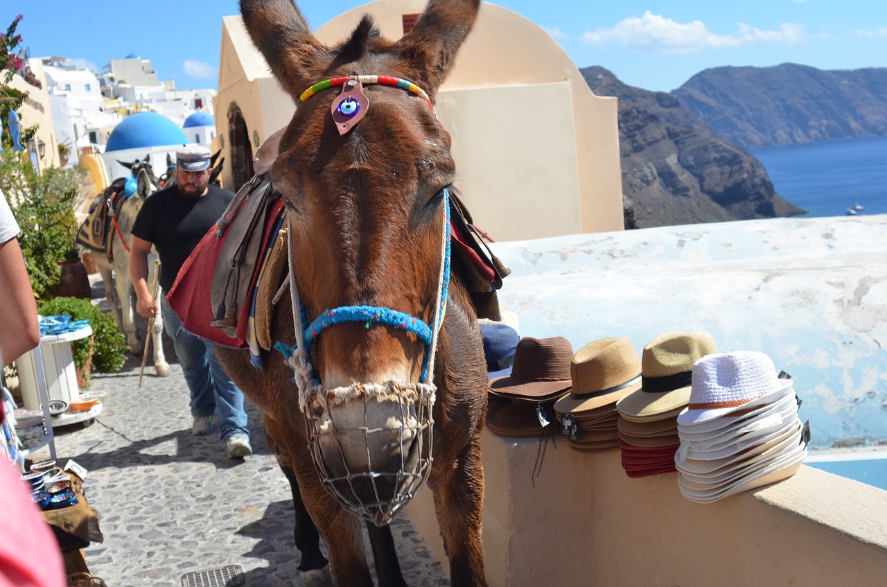 Things to avoid in Santorini - Don't ride the donkeys
