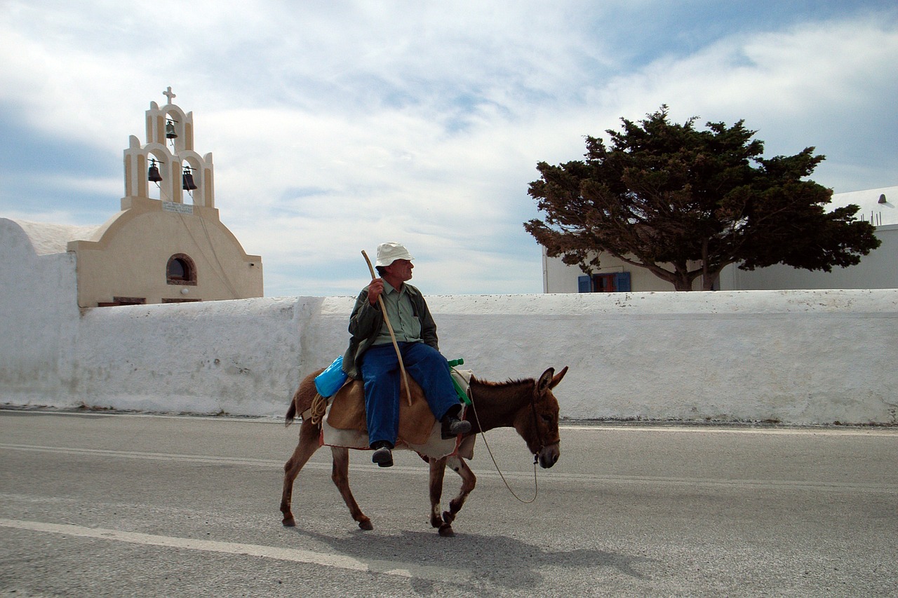 Things to avoid in Santorini - Riding a donkey