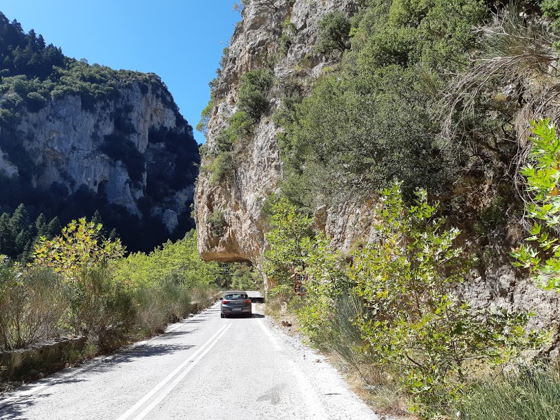 driving in greece without international drivers license