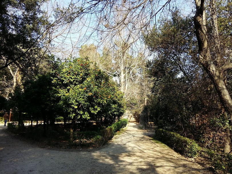 Inside the National Gardens Athens