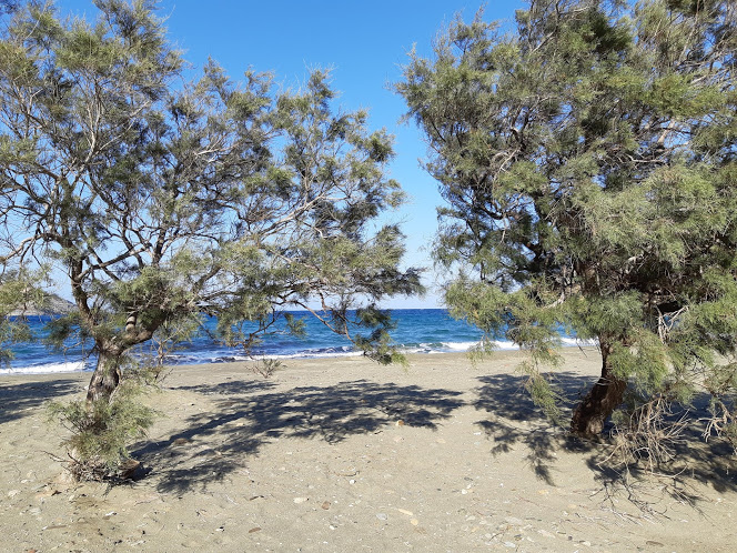 A beach in Tinos island Greece