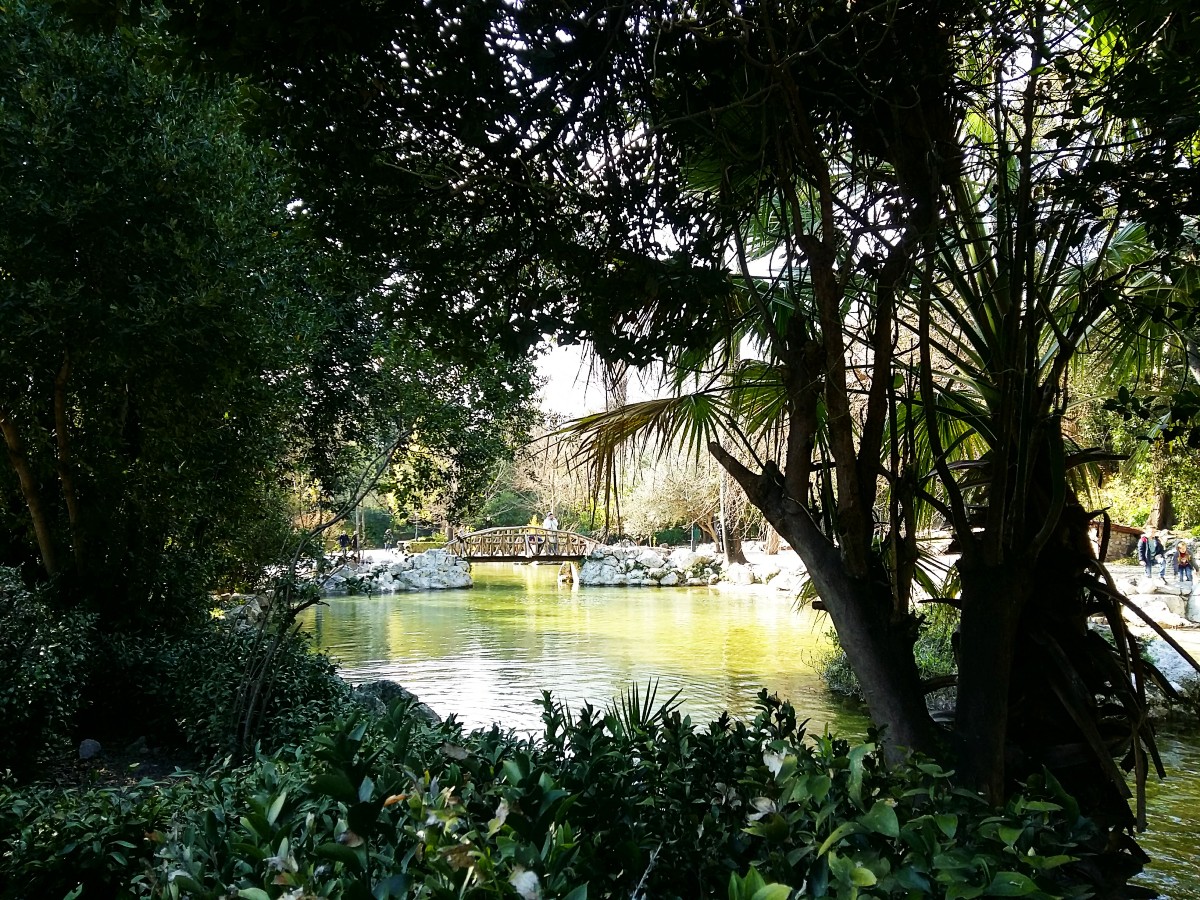 Free attractions Athens - National Garden close to Syntagma Square