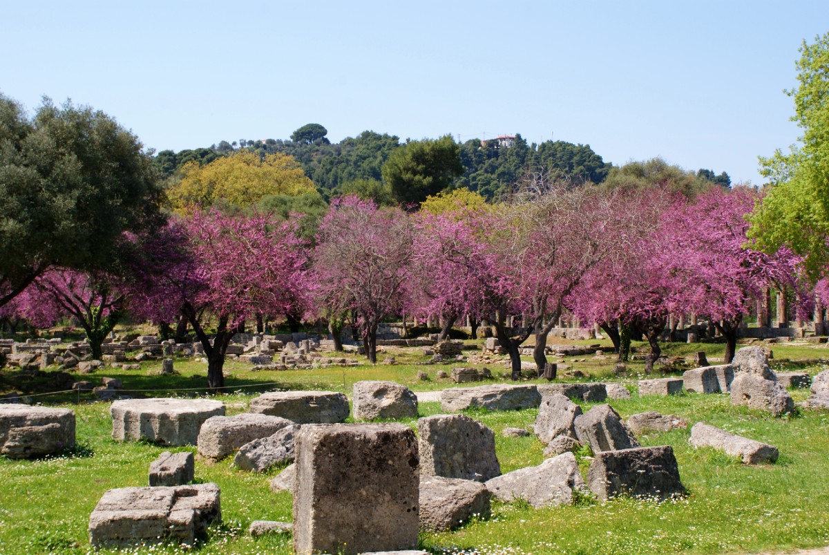 The archaeological site of Ancient Olympia