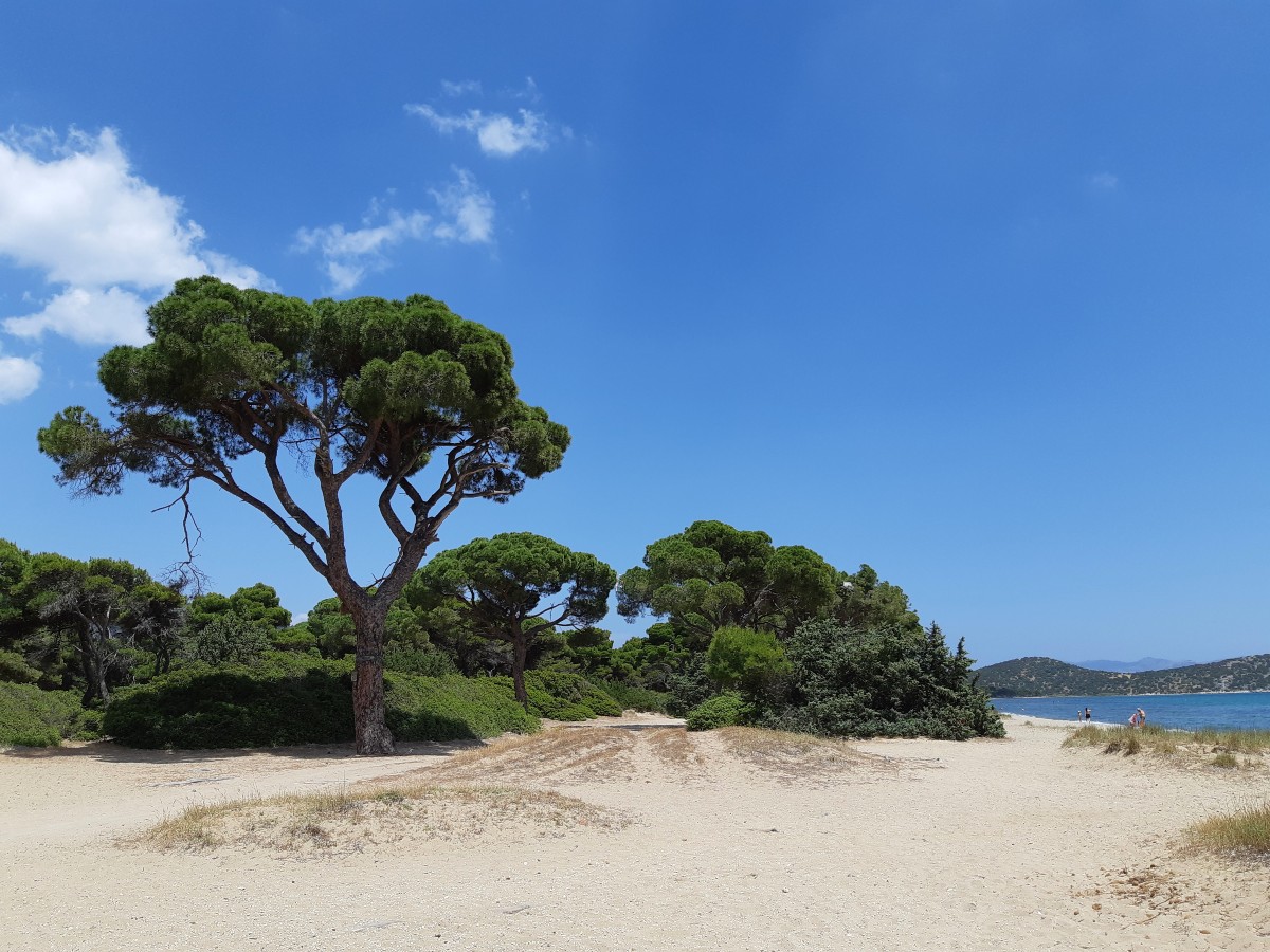 Schinias beach near Athens Greece