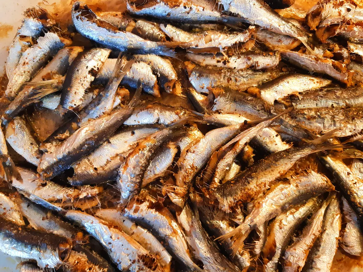 Food of Greece - Grilled sardines