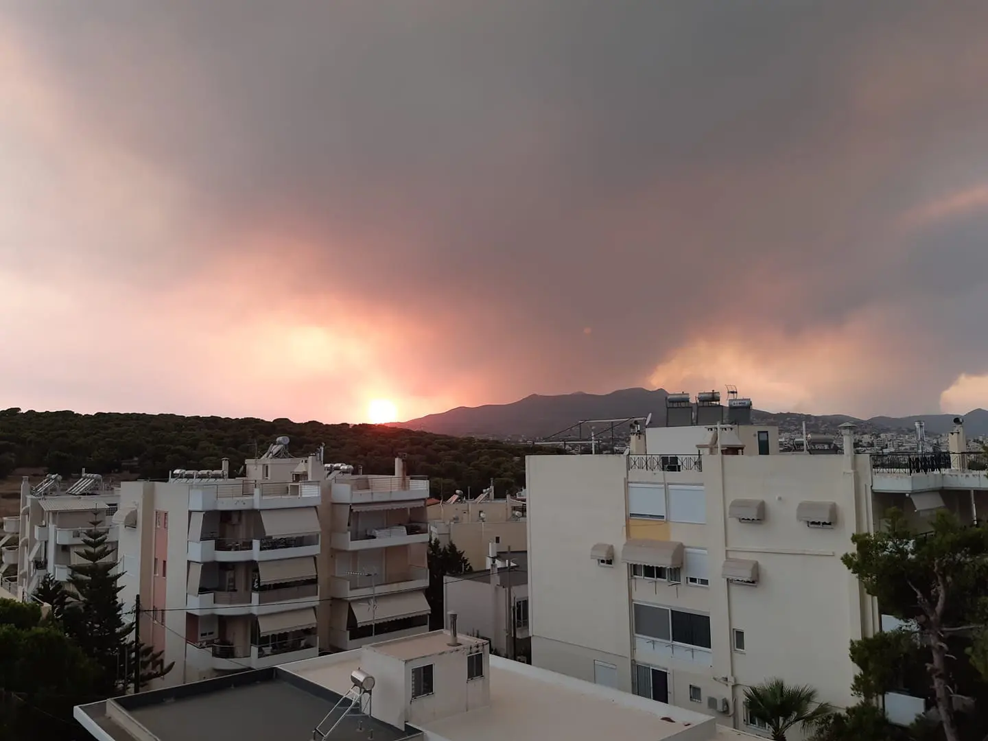 How to help for the wildfires in Greece summer 2021