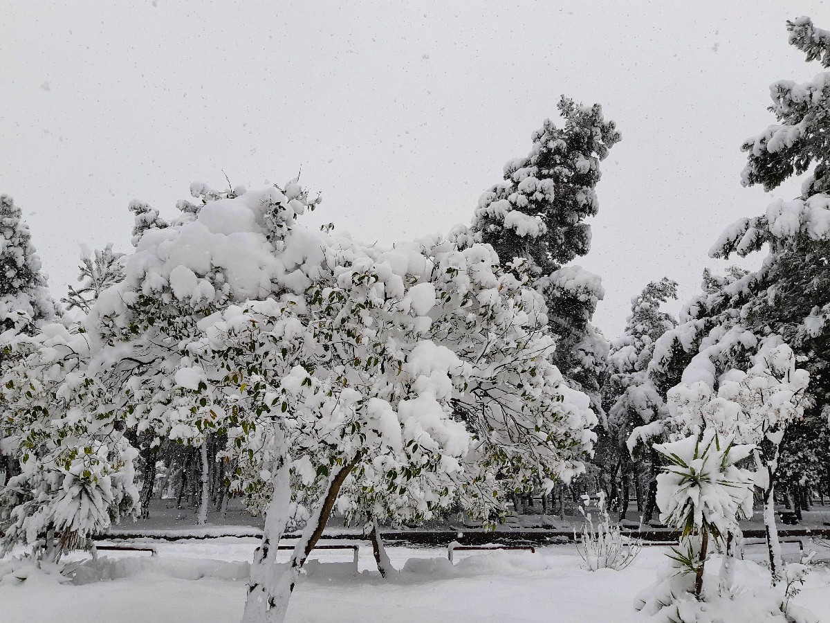 Snow in Greece