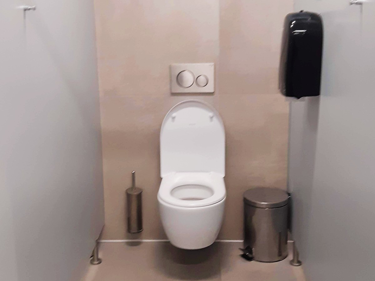 Toilet bin in Greece