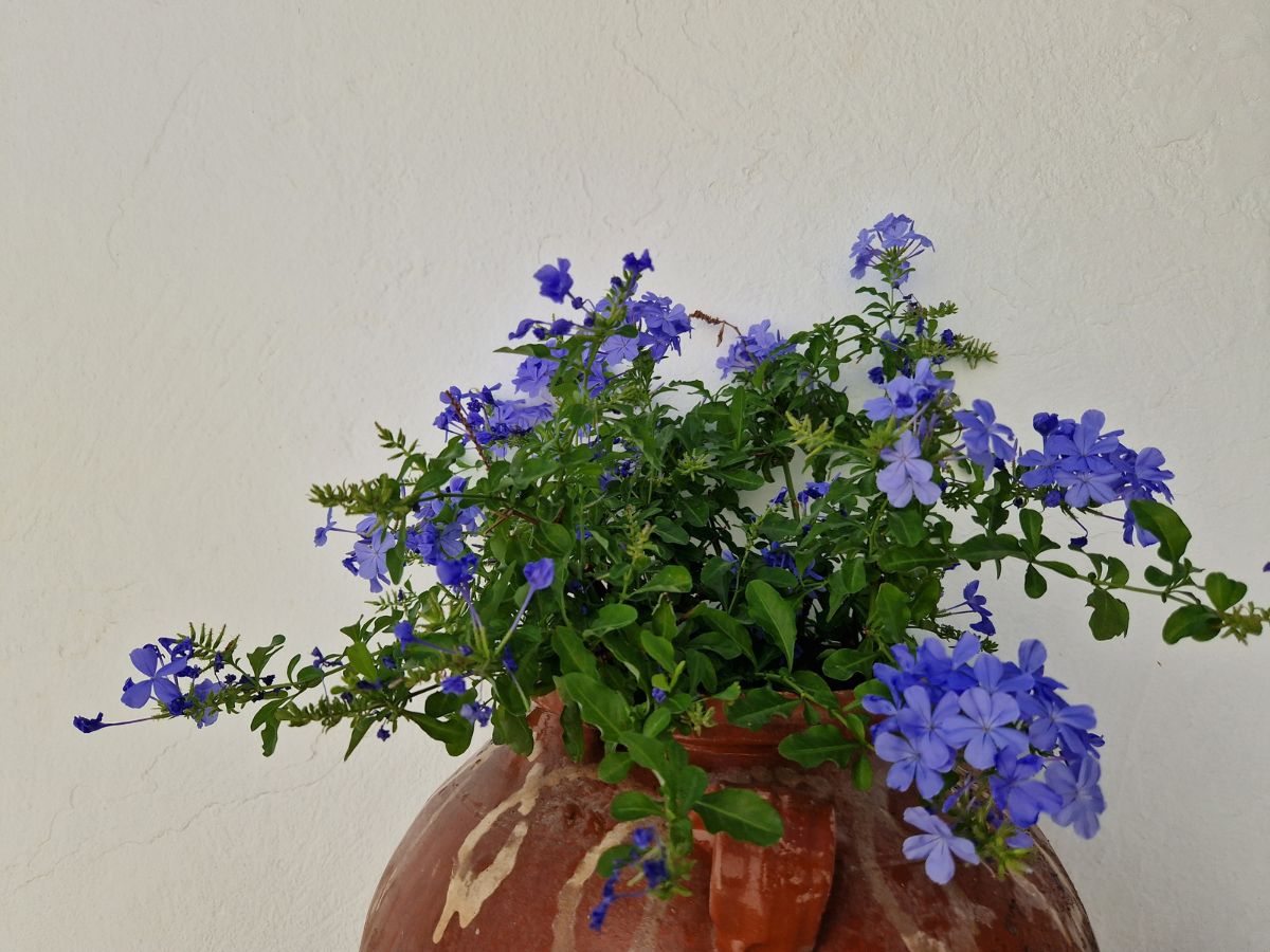 Colors of Karpathos Greece