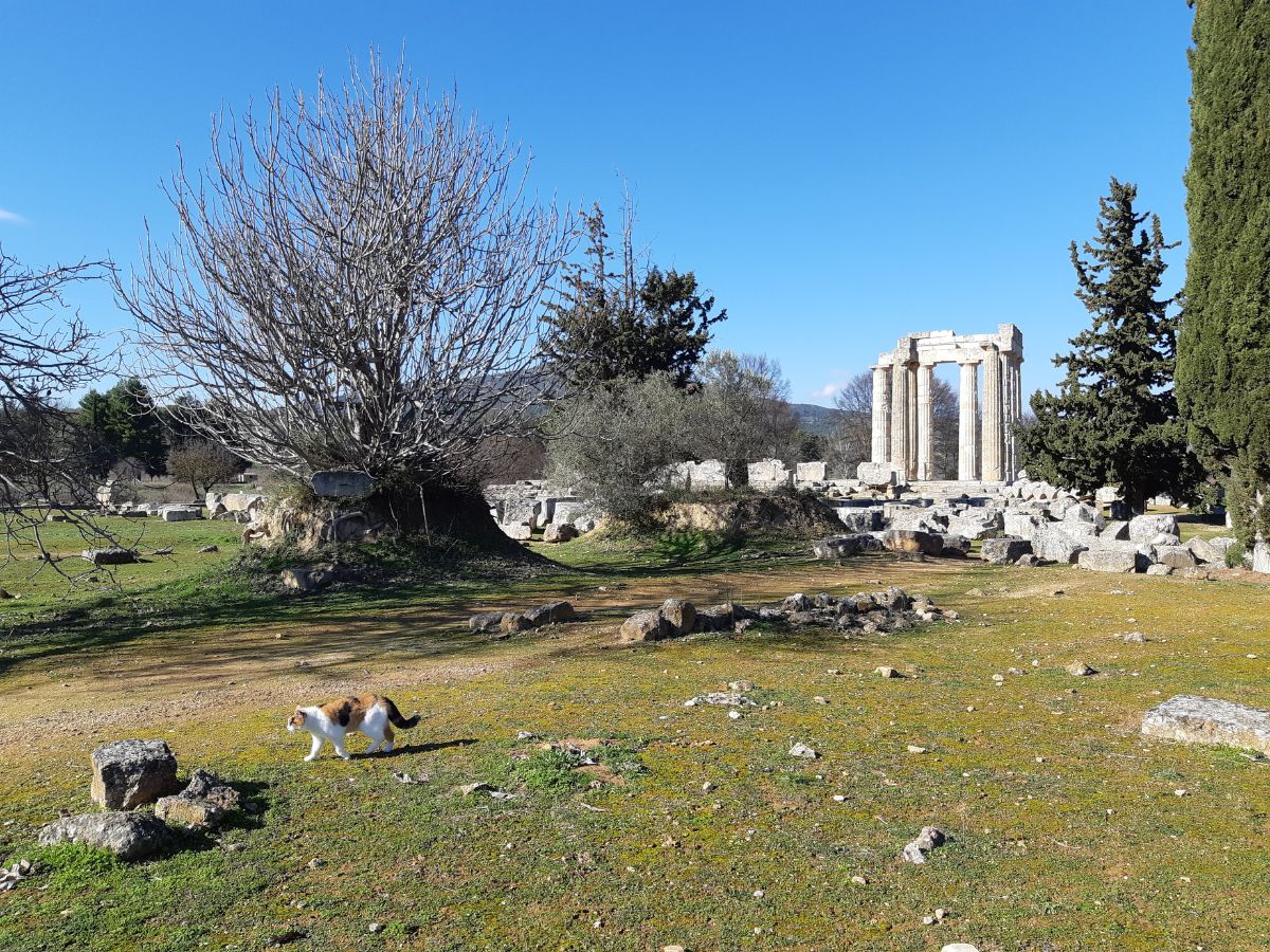 The site of Ancient Nemea in the Peloponnese