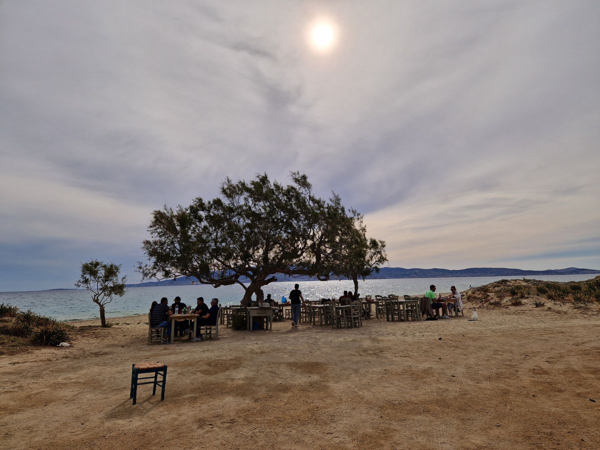 Iconic restaurant with a tree in Naxos