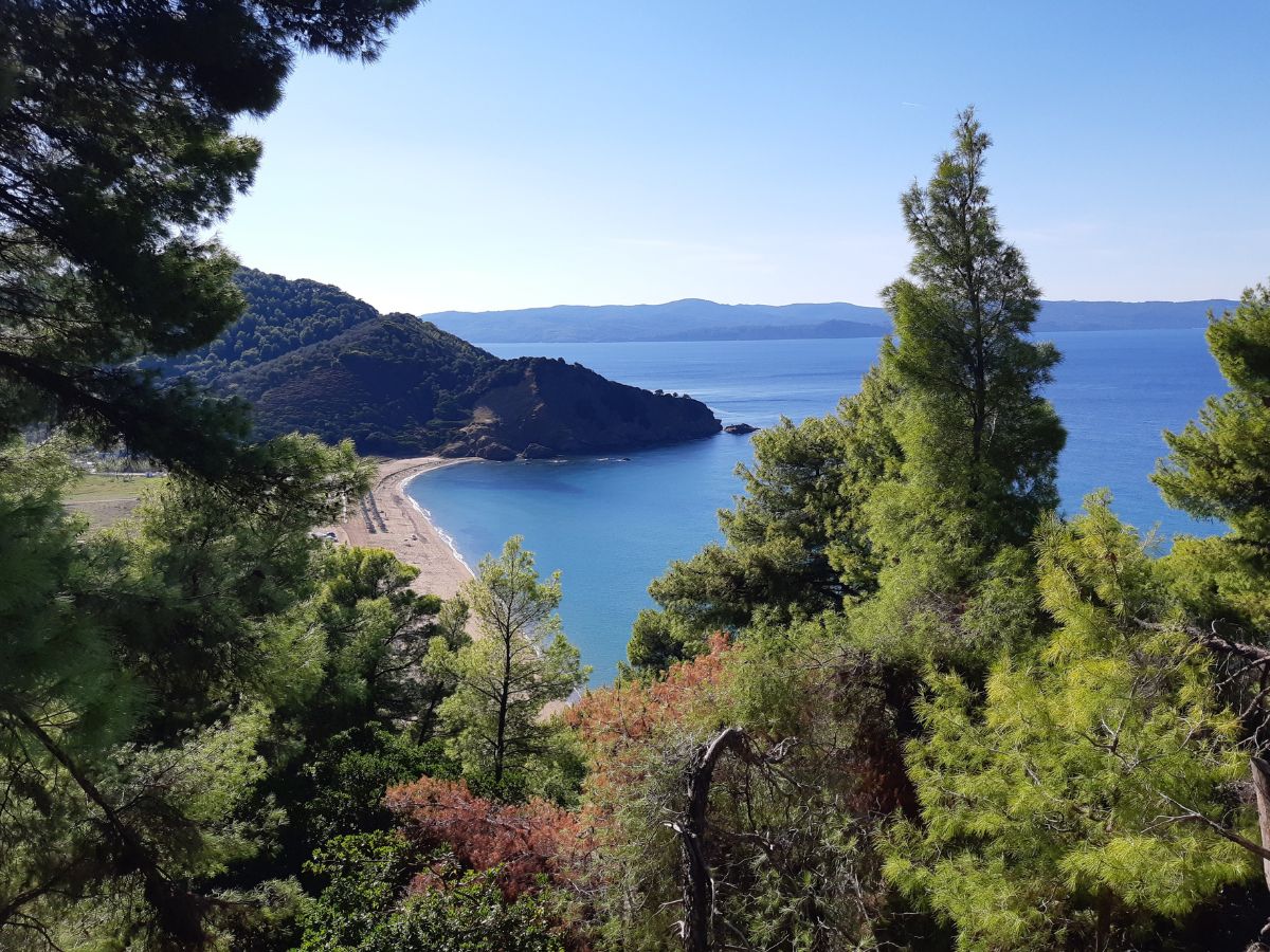 A beach in Skiathos Greece