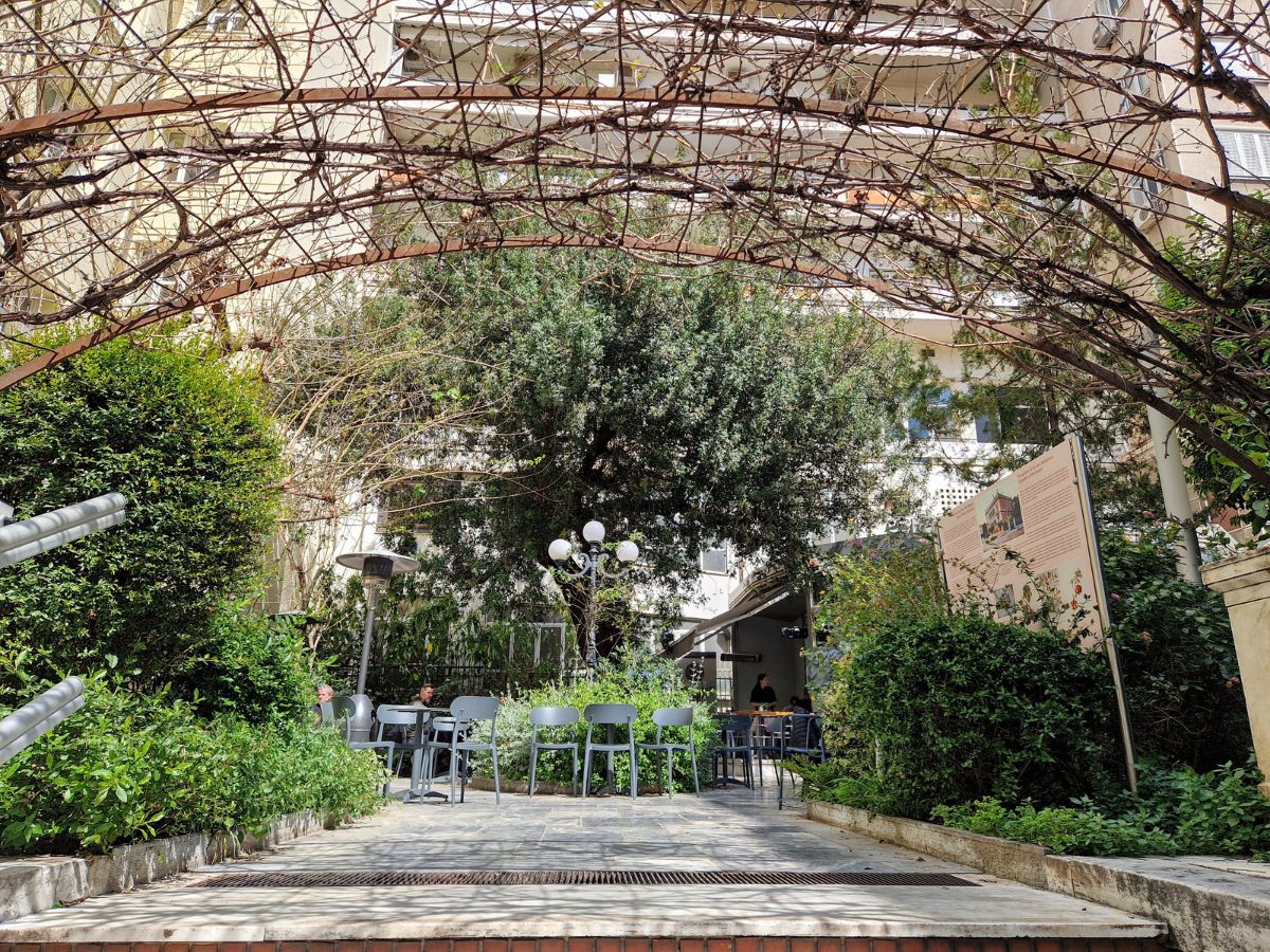 A hidden garden cafe in Athens